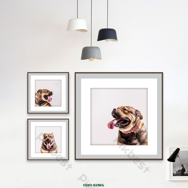 Động vật CDV3-029KG